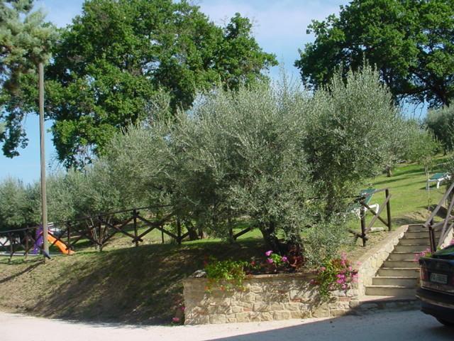 Agriturismo La Cantina San Martino Assisi Exterior photo